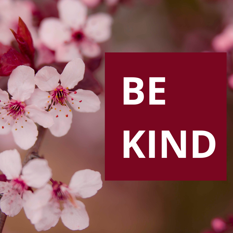 Random Acts of Kindness