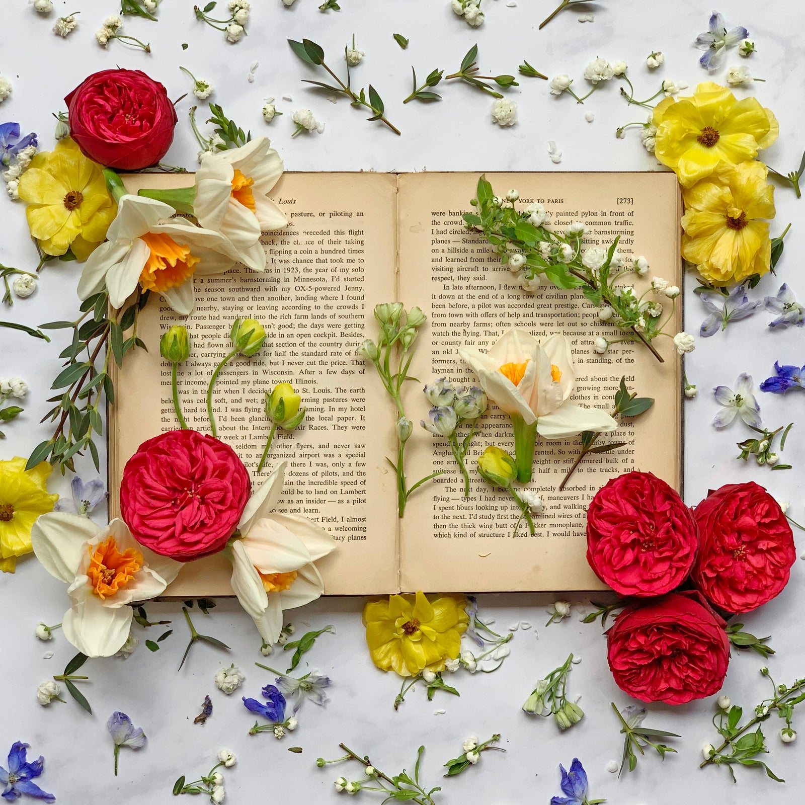 It's World Book and Copyright Day!