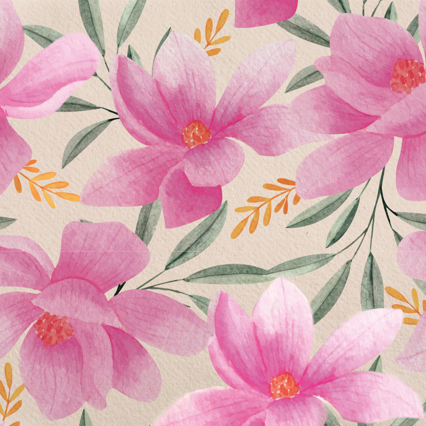 International Day for the Elimination of Violence Against Women and the 16 Days of Activism