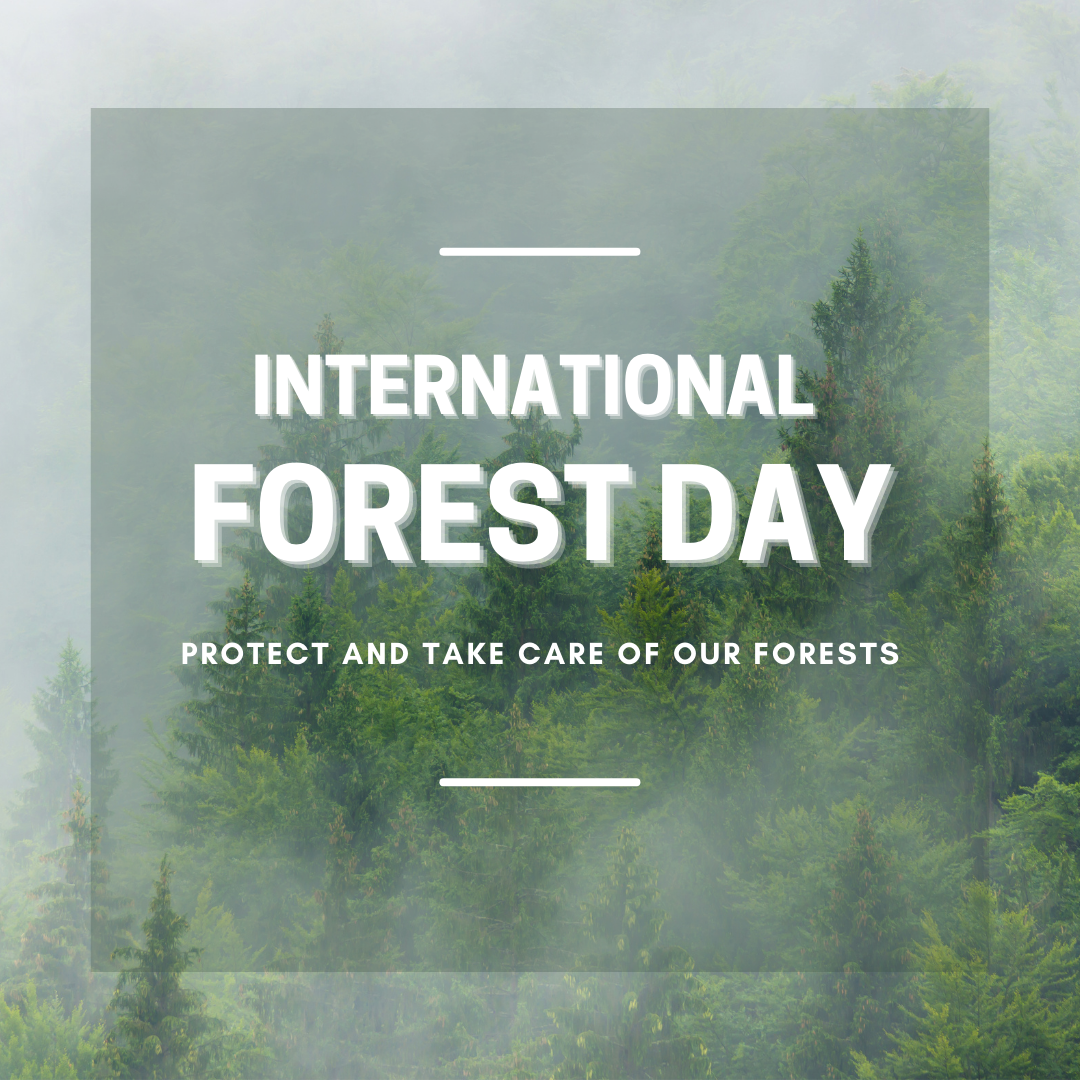 It's International Day of Forests 🌳