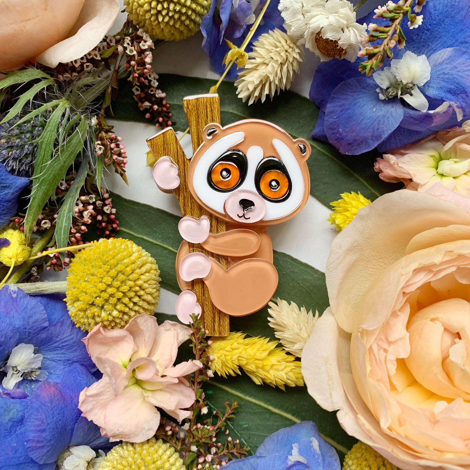 Amazing Primates - Slow and Slender Lorises