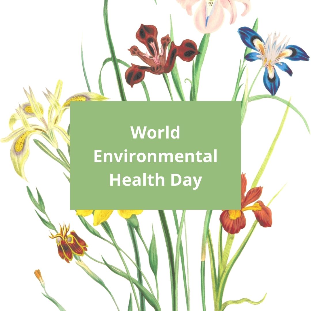 World Environmental Health Day!