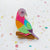 Skittles the Pink-Necked Green Pigeon Brooch freeshipping - SheLovesBlooms